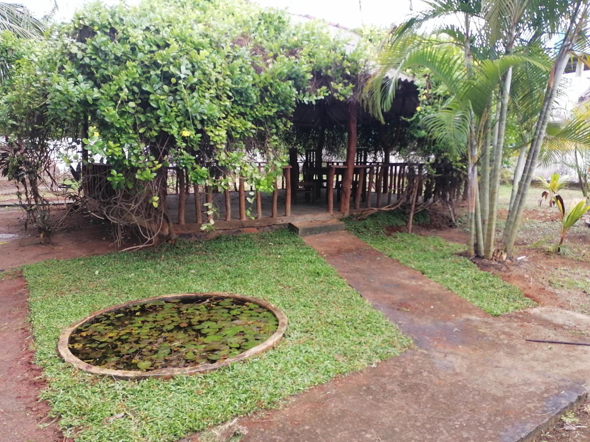 Hotel Mango Terrace à Tissamaharama Extérieur photo